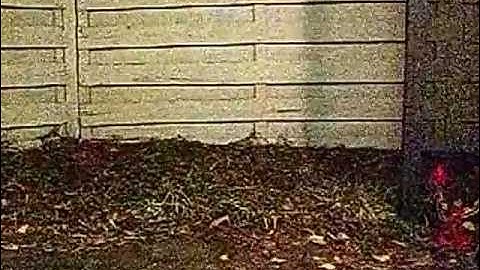 Walkera V120DO2S V2 "Second" Maiden