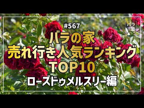 567 バラの家 売れ行き人気ランキングTOP10 ローズドゥメルスリー編