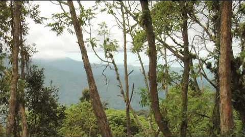 Building resilience to Climate Change