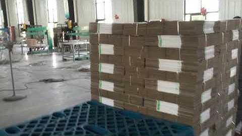 Shanghai Dinglong  TP1224 Flexo Printer- Flexo folder gluer inline