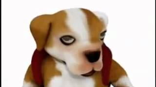 Animales Animados Cantan Factor X (ORIGINAL Version)