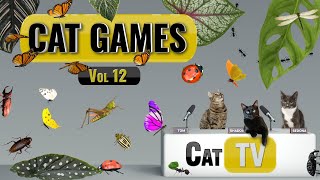 КОТ-игры | Подборка жуков и бабочек Ultimate Cat TV, том 12 🪲 🐞🦋🦗 Видео для кошек для просмотра