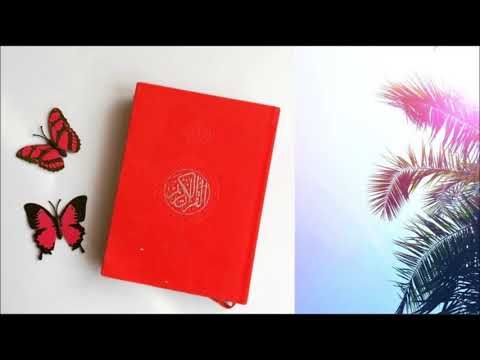 عبدالرحمن السديس سورة الأحقاف سورة محمد سورة الفتح