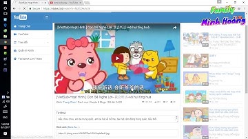 Cách kiểm tra video bản quyền và video đó tham gia network hay adsense