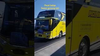 Pecel balap dulunya bumblebee kuning #bis #bus #bocil #basuri #telolet #busmania #beritaterbaru