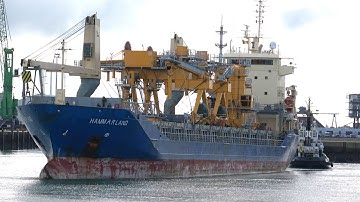 Cargo ship hammerland