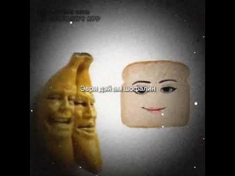 эври дэй Ам шофалин - YouTube