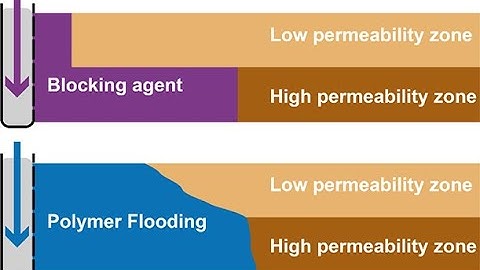 How can you build a Polymer Model in CMG-GEM