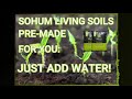 What is the best soil for growing?