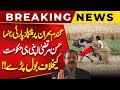 PPP Leader Hassan Murtaza Spoke Against His Own Government On Wheat Crisis!! | Public News