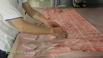 ITTA IC1670DH Automatic leather cutting machine with two working heads