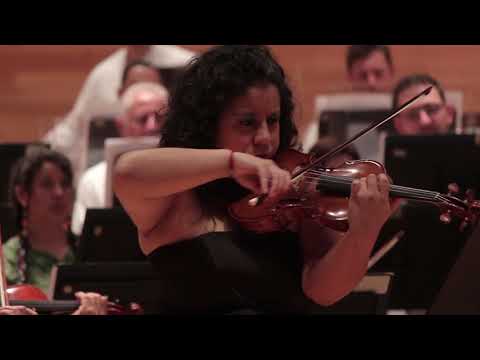 Video: Violinista Presenta Concierto Para Gatitos Con Fines Benéficos