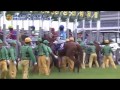 2016年　中央競馬GIレース総集編