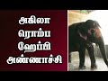 அகிலா ரொம்ப ஹேப்பி அண்ணாச்சி | Elephant Shower Bath | Trichy | Dinamalar