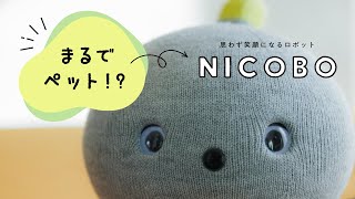 ロボットNICOBOとの暮らしって、どんな感じ？〜 神原サリーさんインタビュー〜