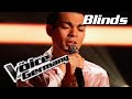 Passenger - Let Her Go (Leo Engels) | The Voice of Germany | Blind Audition