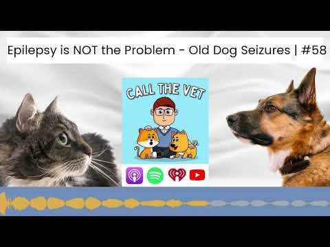 Epilepsy is NOT the Problem - Old Dog Seizures | #58
