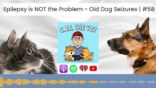 Epilepsy is NOT the Problem - Old Dog Seizures | #58