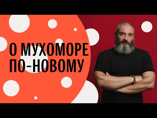 «МУХОМОР. МИКРОДОЗИНГ». Презентация книги. Михаил Вишневский
