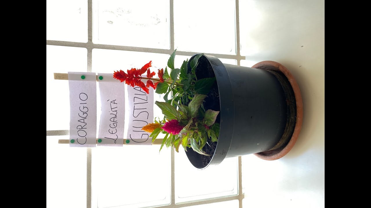 Commemorazione della strage di Capaci. IIS Da Vinci Colecchi