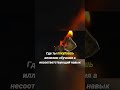 Дорогая ошибка доверия неопытным наставникам #it