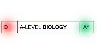 From Grade C/D to A/A* in Alevel BIOLOGY exams (STEPBYSTEP GUIDE) 2024