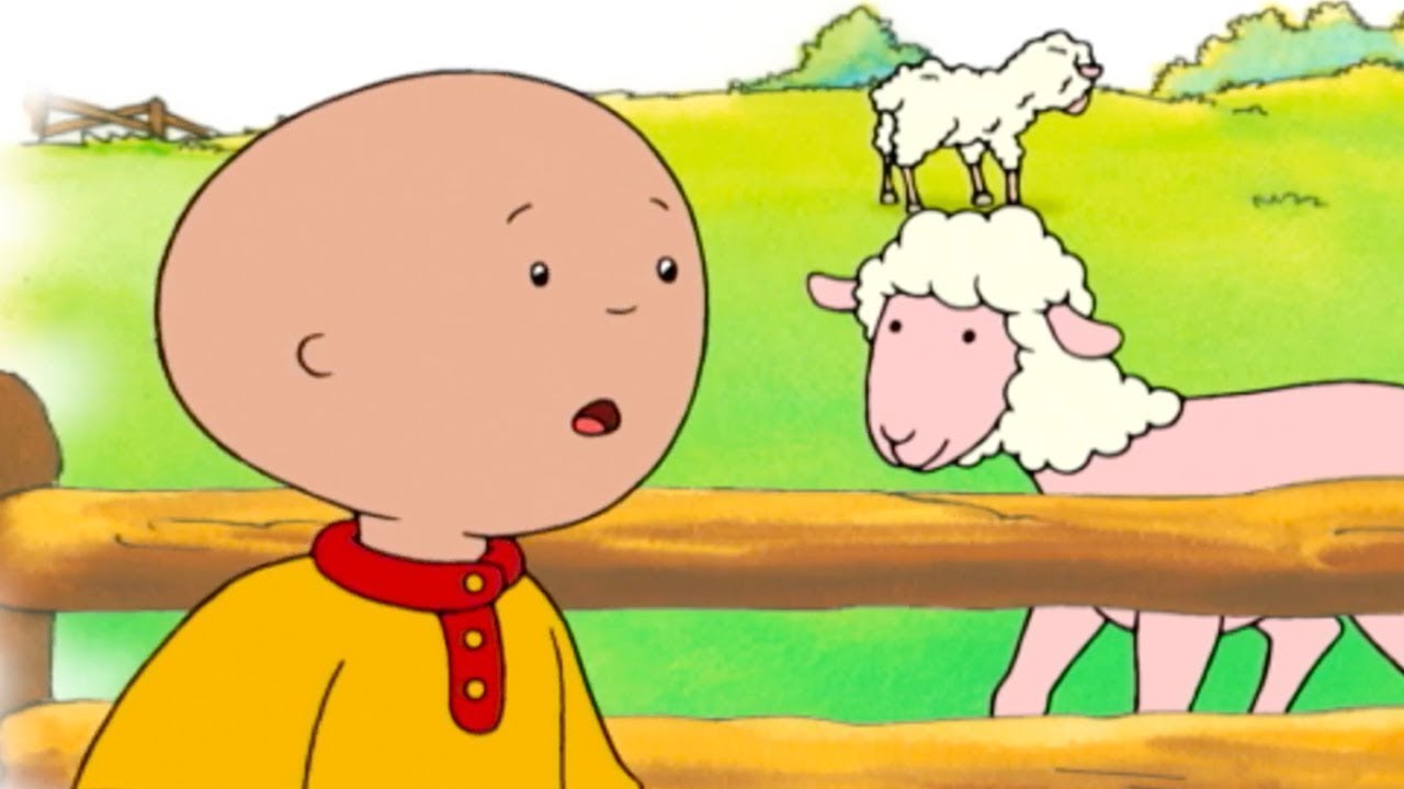 Caillou and Sheep Shearing | Caillou Cartoon - YouTube