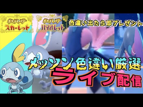 ポケモン - メッソン　ジメレオン　インテレオン　色違い 大量発生なし!御三家色厳選】メッソン・ジメレオン・インテ