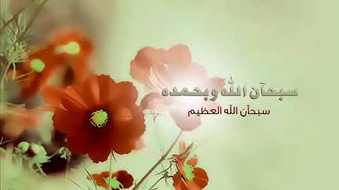 من أجمل تلاوات الشيخ القارئ سلمان العتيبي | ما شاء الله