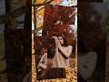 Autumn Portraits w/ Sony 28-70mm F2 GM