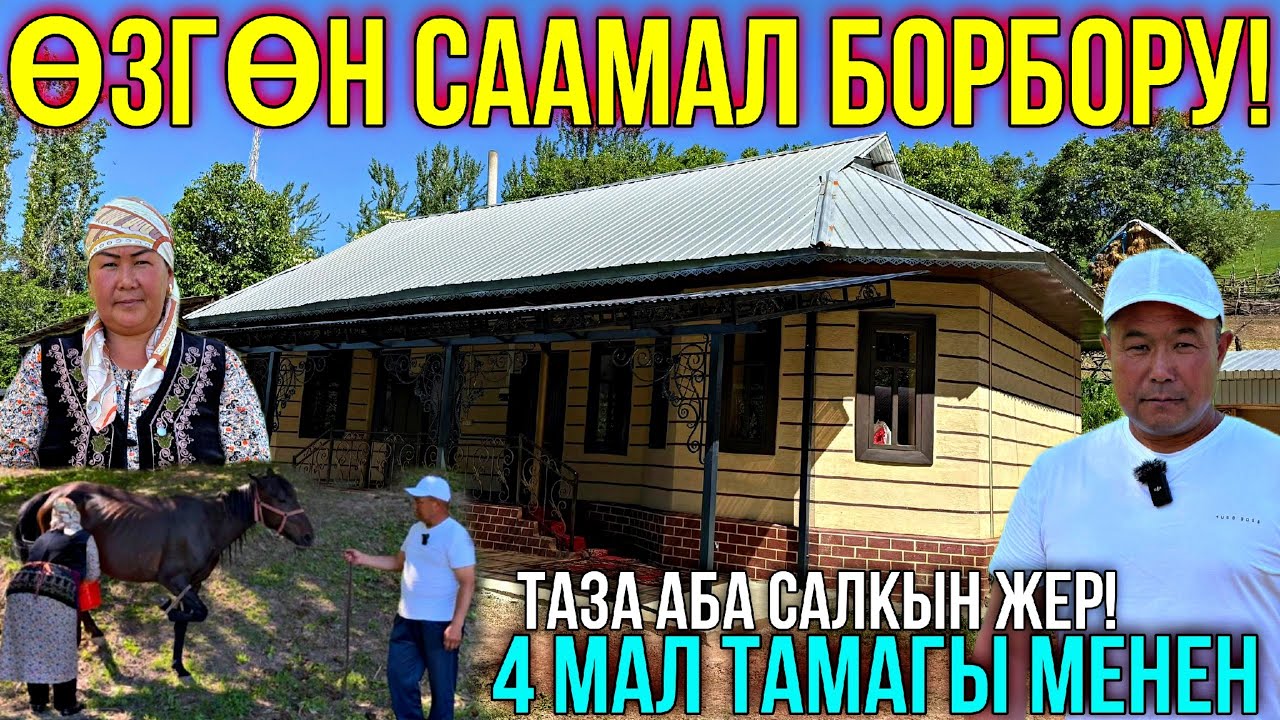 СААМАЛ ИЧИП ЖЫРГАҢЫЗ ЖАНА ДЕН-СООЛУКТУ ЧЫНДАҢЫЗ ❤️‍🔥 #байтв