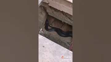 اللهم اني اعوذ بك من عذاب القبر يارب 