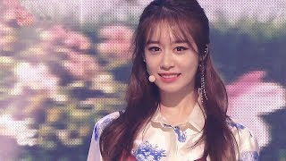 T-ARA 티아라 - TIAMO 띠아모 / 교차편집 Stage Mix