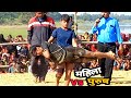 महिला vs पुरुष mahila aur purus।। female and male pahalwan new kushti dangal