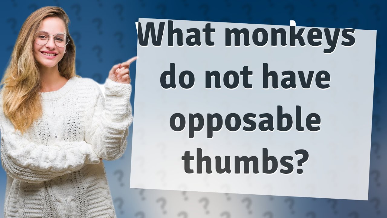What monkeys do not have opposable thumbs? - YouTube