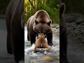 A Bear Cub Fell Into The River… 🐻