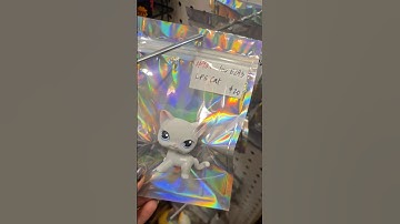 There Was Over 500+ LPS! 😱 #lps #littlestpetshop #fleamarket #collectible #toy #blindbag #haul #mall