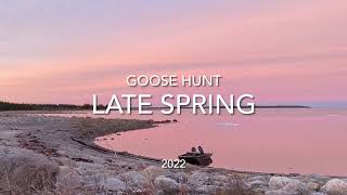 Goose hunt 2022: Late Spring Geese