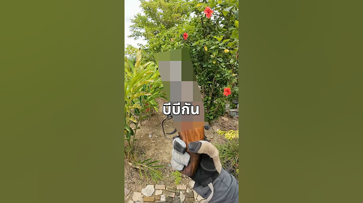 ปืนบีบีกันที่ไม่มีใครอยากเจอ