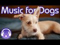 15 Hours of Soothing Music for Dogs! INSTANTLY Calm Your Dog (2019!)