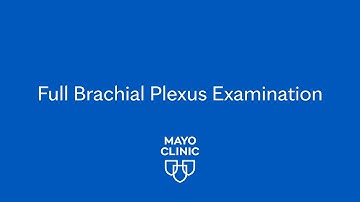 Introduction to the Brachial Plexus Examination