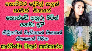 හිසකෙස් අහුරු පිටින් යන එක නතර  කරන කරපිංචා වතුර සත්කාරය  Curry leaves water for hair growth