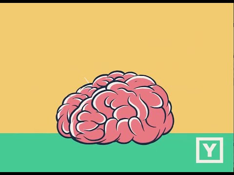 Un neurocirujano explica por qué no existe el alma