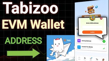 How To Connect EVM Wallet Address In Tabizoo ✅