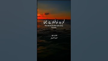 ﴿وَإِذا مَسَّ النّاسَ ضُرٌّ دَعَوا رَبَّهُم مُنيبينَ إِلَيهِ﴾ #فارس_عباد #سورة_الروم