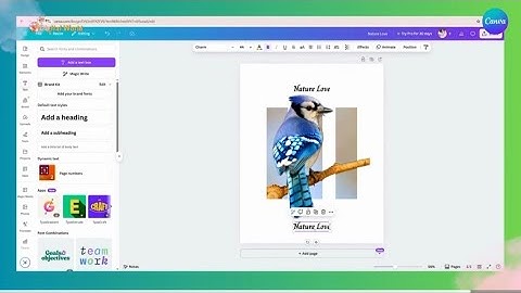3D Image Effect in Canva| 3D Effect in Canva | Image Effect in Canva