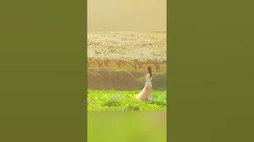 This scene🥺🥺..#queenoftears💚 #koreandrama 💙 #trendingshorts🧡 #youtubeshort 💜 #edit