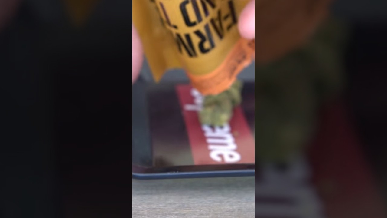 Farmer and the Felon