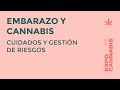 Dra. Marisol BOCETTI | Cannabis durante el EMBARAZO: riesgos y cuidados - Expo Cannabis 2019