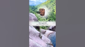 "فلينظر الإنسان إلى طعامه*أنا صببنا الماء صبا*....." ياسر الدوسري في تلاوة خاشعة للتأمل في نعم الله